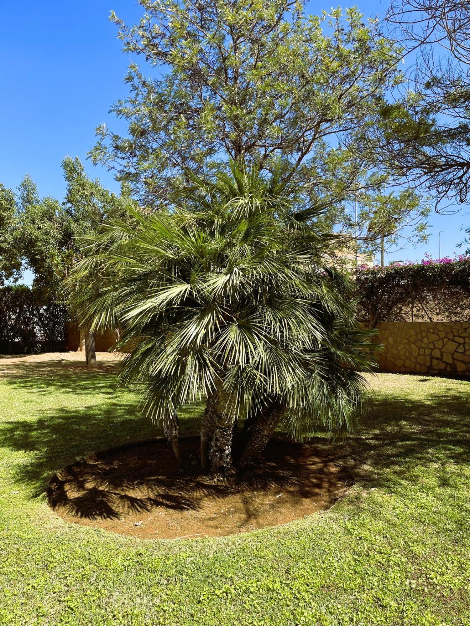 El Casa Kama Appartement Dénia