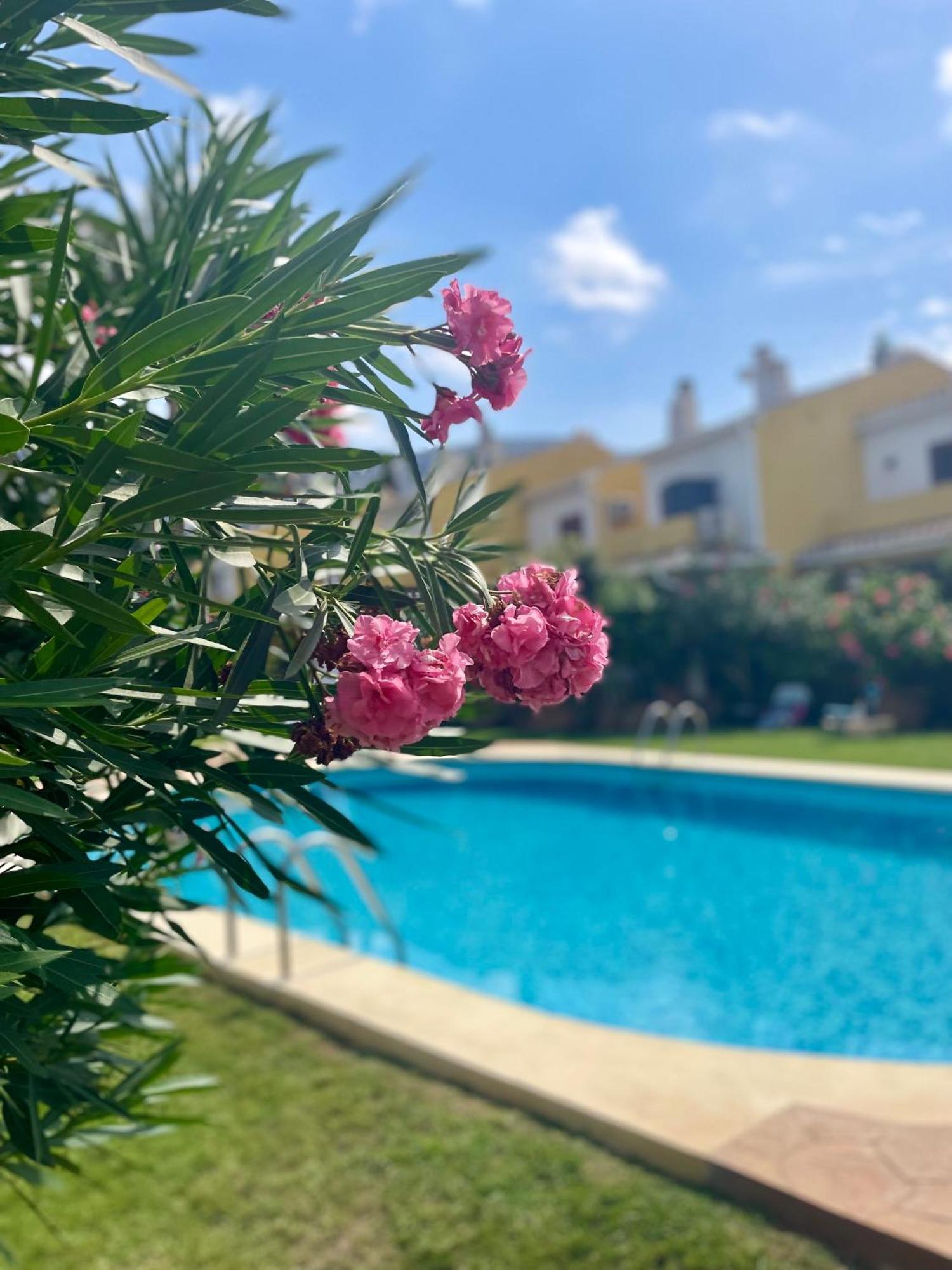 El Casa Kama Dénia